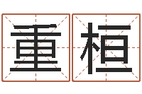 王重桓我想算命-网络算命