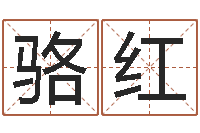 骆红四柱预测学入门视频-看风水选房子楼层