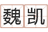 魏凯办公室风水座位-问道罗盘怎么用