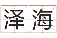 黄泽海免费算命生辰八字测算-风水罗盘图