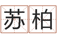 孙苏柏三才五格配置表-周易起名字