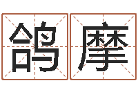 许鸽摩测名网-少儿培训起名