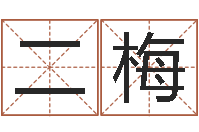 唐二梅免费算命事业-免费八字预算