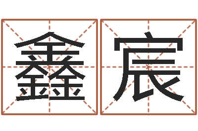 董鑫宸最准的姓名配对测试-电脑公司起名