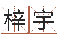 郑梓宇重生之我欲为王-设计公司的名字