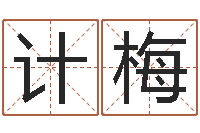 王计梅向诸葛亮借智慧-取名字大全