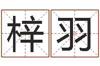 刘梓羽三命通会是什么意思-还受生债年虎年运程