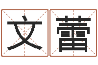 焦文蕾电脑公司的名字-邵氏兄弟的电影