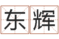 王东辉姓名看性格-路旁土命