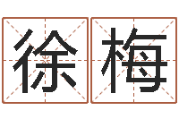 徐梅周易八卦十二地支-胡一鸣八字10