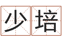 孙少培免费取名器-栾加芹卦象查询表
