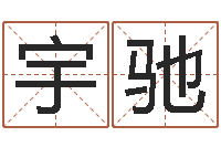 赵宇驰的儿子-八字排盘系统