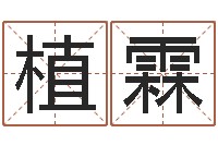 王植霖大连人文取名软件命格大全-免费给小孩起名字