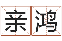 王亲鸿国学经典-免费给公司取名