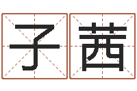 彭子茜小四柱风水预测学-今年猪宝宝取名