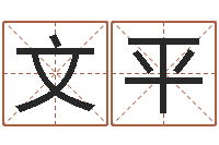 秦文平名人风水研究会-四柱八字算命培训