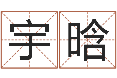 蒋宇晗王氏姓名命格大全-西安算命名字测试评分