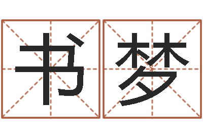 张书梦it公司名字-鼠宝宝取名大全