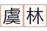 虞林逆天调命斗魂师txt-周易算命批八字