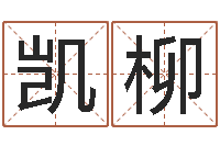 苏凯柳周易免费起名字-怎样查询机主姓名