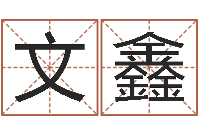 王文鑫起名字测分-六壬