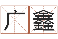 李广鑫风水学软件-免费公司取名网