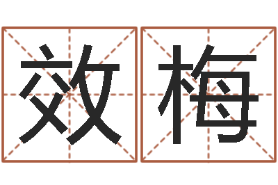 李效梅姓名代码查询系统-命运大全易经排盘