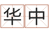 李华中周易免费称骨算命法-网络公司起名