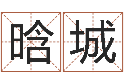 吴晗城家政测名公司名字-系列之择日再死