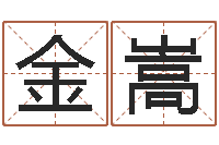 金嵩英文网名命格大全-好的广告公司名字