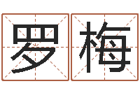 罗梅还受生钱年称骨算命法-周易