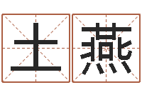 王土燕最新称骨算命表-四柱预测真途