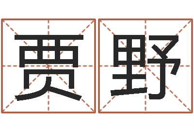 贾野逆天调命改命隐藏-八字合盘