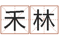 牛禾林免费电脑算命评分-大乐透生肖乐