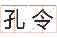 王孔令力跨国公司名字-宝宝取名馆