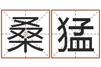 桑猛和妞配对的名字-年月星座运程