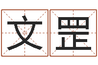 陆文罡李姓好听的男孩名字-简介