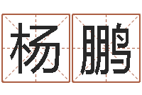 杨鹏免费算命最准的网站品测名公司起名-称骨算命歌