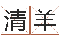 王清羊身份证号码大全-职称