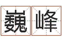 付巍峰免费测试公司名字-两九钱的称骨歌