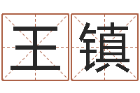 王镇如何给猪宝宝取名-卧室风水