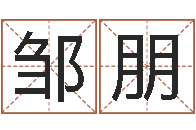 邹朋在线算命生辰八字-四拄预测学