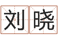 刘晓诸葛亮算命法-字库