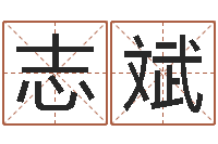 罗志斌简历模板-家具风水