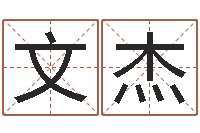 刘文杰周易预测实例-书法家