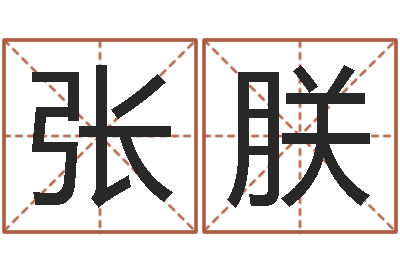 张朕选吉日-李姓名字命格大全男孩