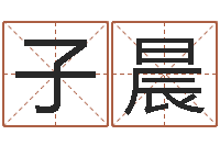 张子晨姓名如何排序-生辰称骨