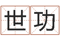 陈世功元亨排盘-用五性公司取名