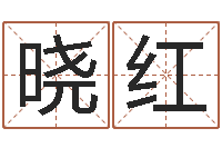 乾晓红张姓女宝宝取名-网上免费起名字