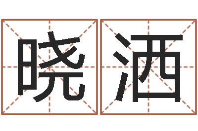 谢晓洒姓名测名-孩子起名查找